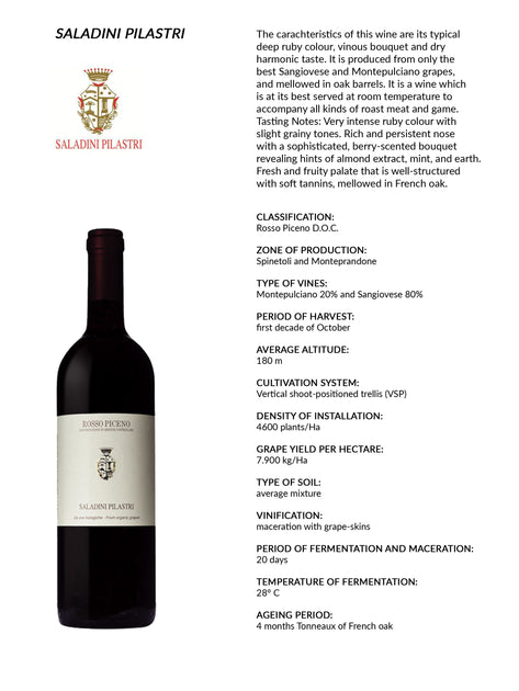 Saladini Pilastri Rosso Piceno D.O.C. 2021 – Platinum Wines